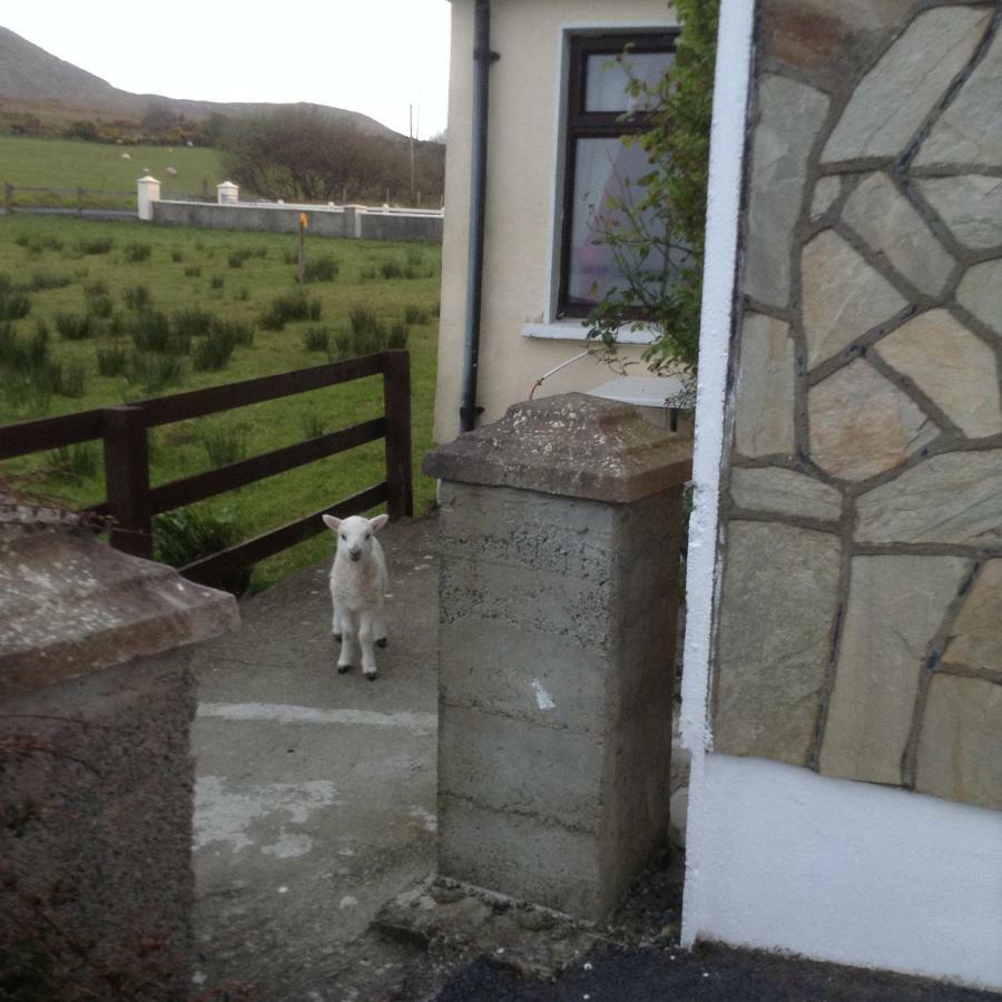 Sea View Chalet Kilsallagh Westport Co Mayo المظهر الخارجي الصورة