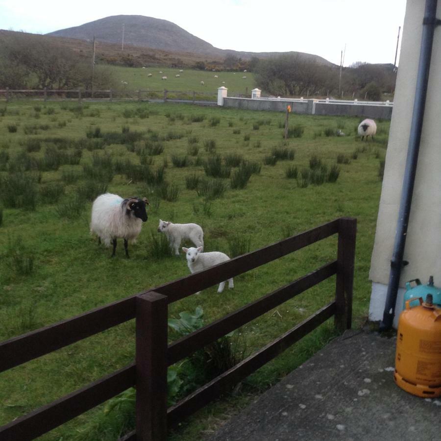 Sea View Chalet Kilsallagh Westport Co Mayo المظهر الخارجي الصورة
